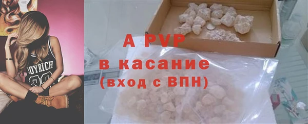 стафф Алексин