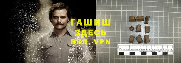 стафф Алексин
