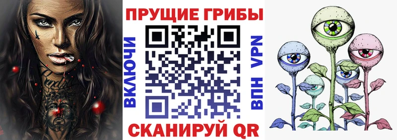 Галлюциногенные грибы Cubensis Домодедово