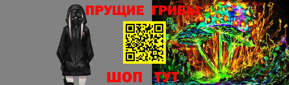 Домодедово  Псилоцибиновые грибы мицелий  Вход с VPN 